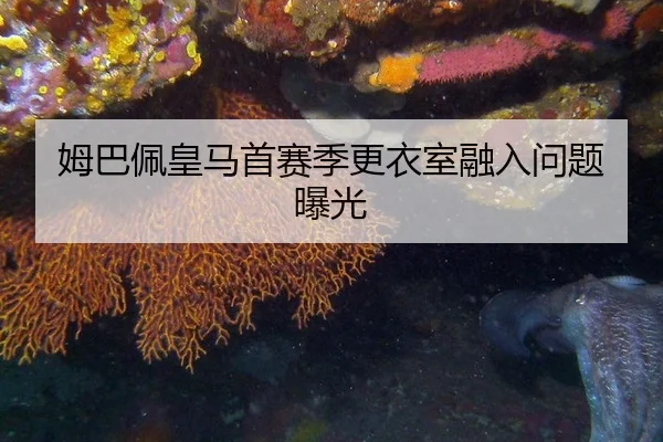 姆巴佩皇马首赛季更衣室融入问题曝光