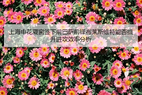 shang-hai-shen-hua-xia-chuang-qian-xia-qian-ba-sa-qian-feng-bu-lai-si-wei-te-neng-fou-ti-sheng-jin-gong-xiao-lv-fen-xi-2-827.jpg